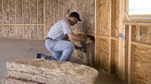 Best Attic Insulation Installation in San Carlos, AZ