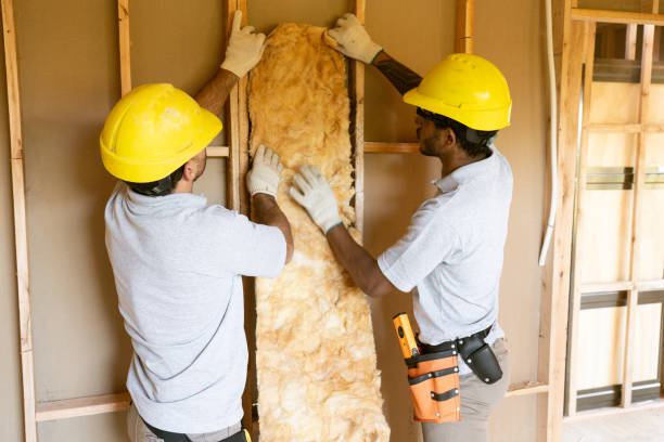  San Carlos, AZ Insulation Removal & Installation Pros