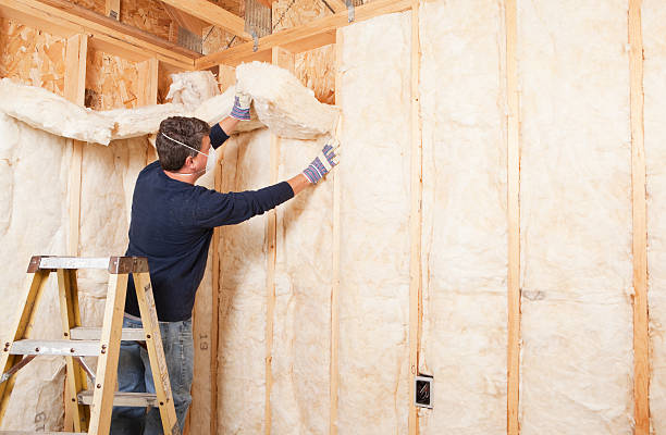 Best Basement Insulation in San Carlos, AZ