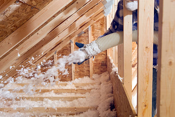 Types of Insulation We Offer in San Carlos, AZ